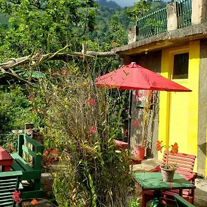 Valley Jamaïque